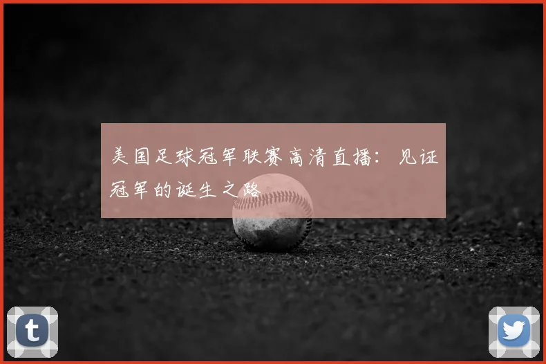 美国足球冠军联赛高清直播：见证冠军的诞生之路