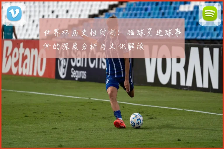 世界杯历史性时刻：猫球员进球事件的深度分析与文化解读
