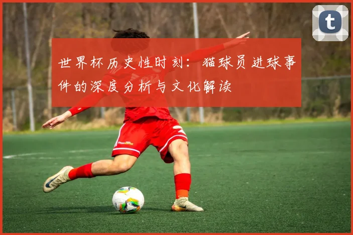 世界杯历史性时刻：猫球员进球事件的深度分析与文化解读