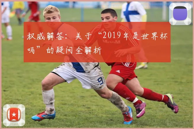 权威解答：关于“2019年是世界杯吗”的疑问全解析