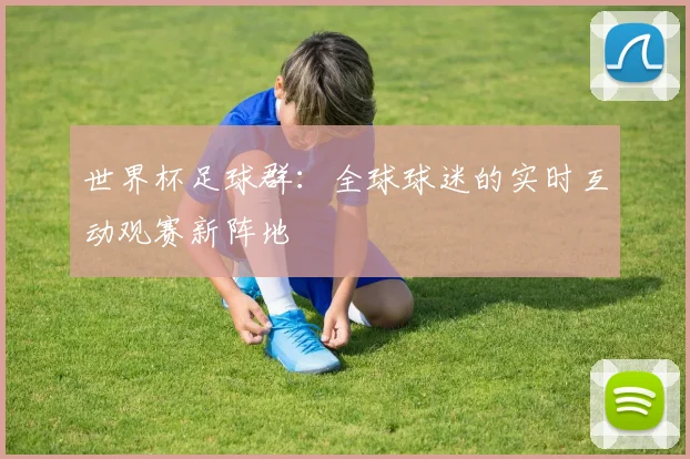 世界杯足球群：全球球迷的实时互动观赛新阵地