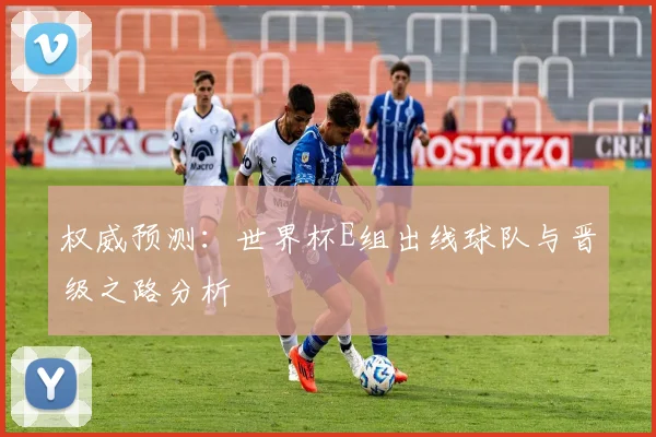 权威预测：世界杯E组出线球队与晋级之路分析