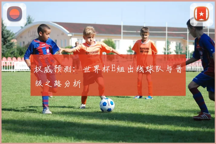 权威预测：世界杯E组出线球队与晋级之路分析
