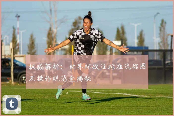 权威解析：世界杯投注标准流程图及操作规范全揭秘