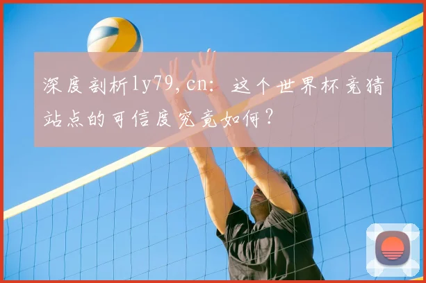 深度剖析ly79,cn：这个世界杯竞猜站点的可信度究竟如何？