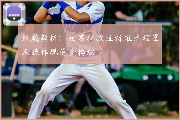 权威解析：世界杯投注标准流程图及操作规范全揭秘