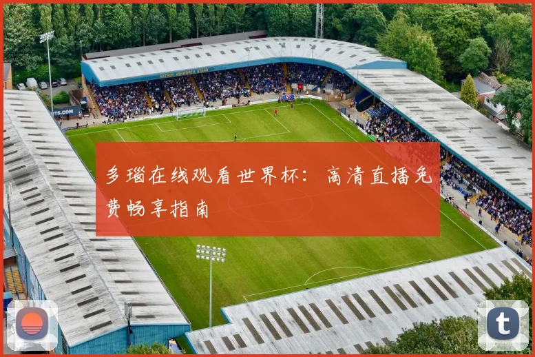 多瑙在线观看世界杯：高清直播免费畅享指南
